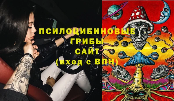 прущая мука Алзамай