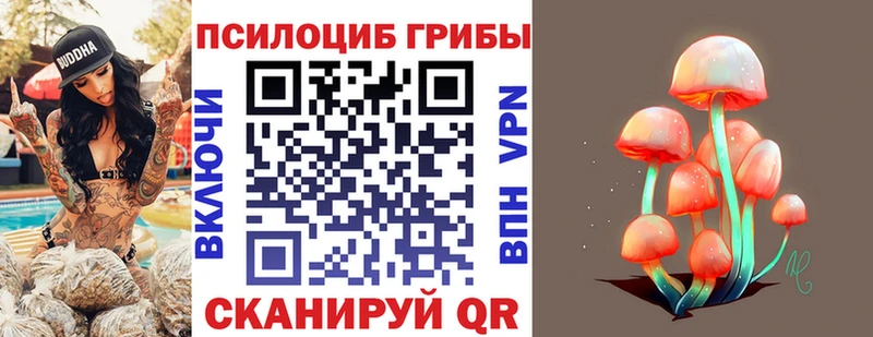 хочу наркоту Красноуфимск Псилоцибиновые грибы Magic Shrooms